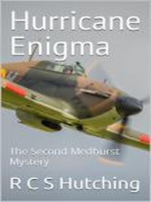 cover image of Hurricane Enigma